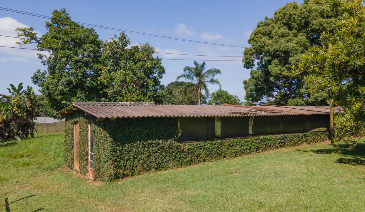 6 Umgeni Road (24)