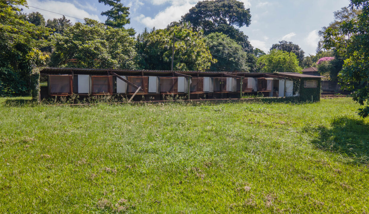 6 Umgeni Road (35)