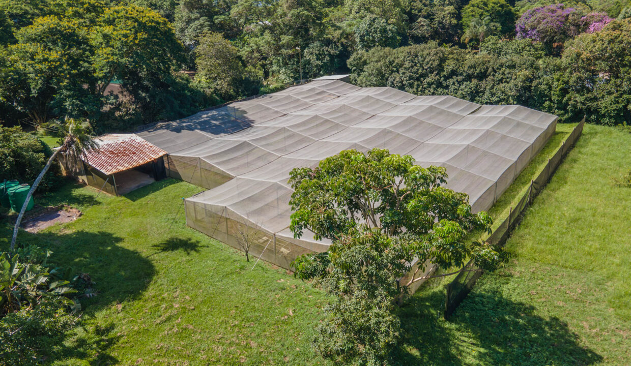 6 Umgeni Road (38)
