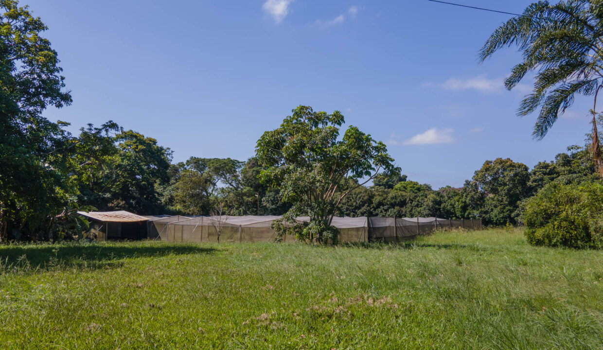 6 Umgeni Road (42)